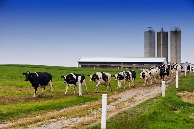 Local producers walked away with awards at the Dairy Show