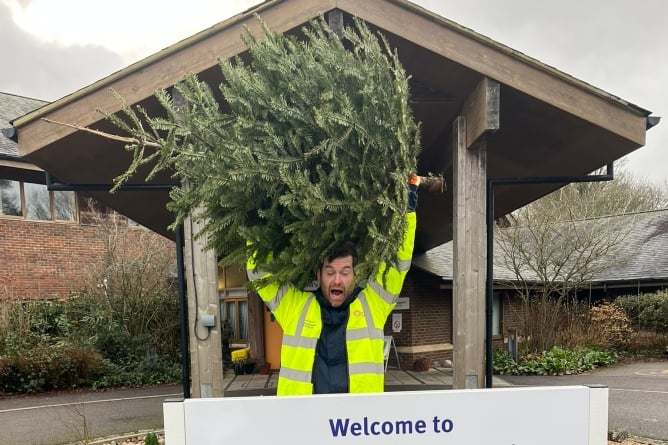 Volunteers are wanted to help recycle Christmas trees