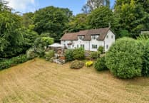 Hillside cottage for sale is "nature lover's paradise" sitting beside nature reserve