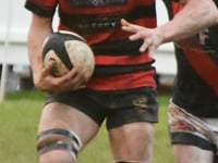  Wellington score seven tries