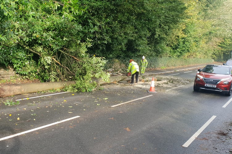 Highways contractors use a chainsaw to cut up the fallen tree which blocked a main road in Wellington.