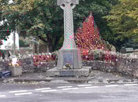 Village poppy displays grow in locations and size