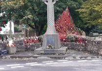 Village poppy displays grow in locations and size