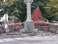 Village poppy displays grow in locations and size