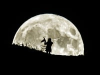 Halloween 2023: Dozens of witches living in Somerset West and Taunton