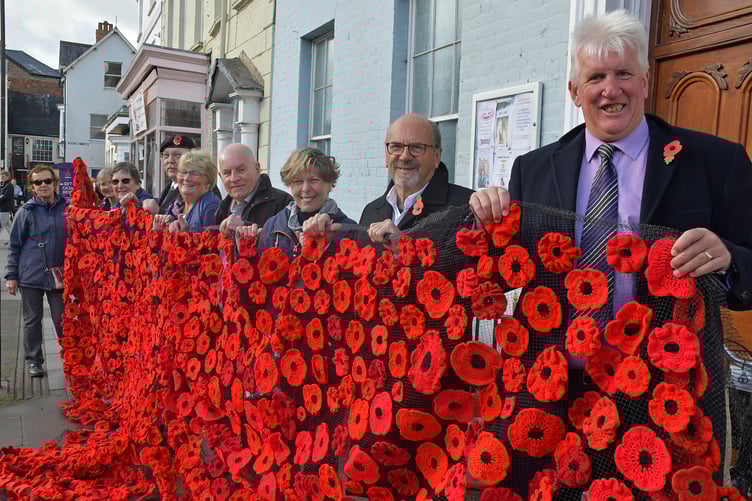 Town councillors and Royal British Legion members attended the unveiling of Wellington Women's Institute's annual poppy displays.