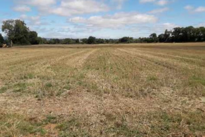 Land next to the M5 near Wellington where wetlands will be created to mitigate phosphate emissions.