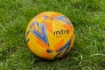 Wellington's cup tie at Cheddar called off