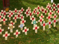 Town to host annual events and livestream for Remembrance