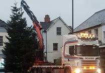 Triple Christmas tree delight for town