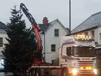 Triple Christmas tree delight for town