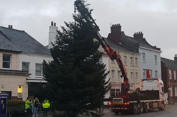 Almost there, Wellington's town centre Christmas tree being put into place.