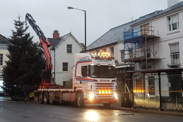 It was an early morning start as the first of Wellington's three Christmas trees was delivered.