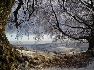 Quantock and Blackdown Hills redesignated