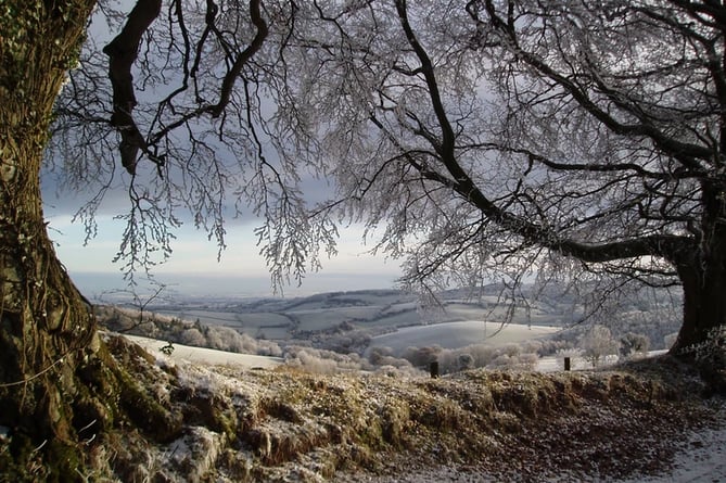 A Quantock Hills winter scene at Birches Corner near Lydeard Hill.