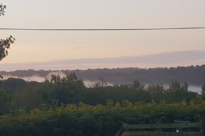 Early morning mist rising in a Blackdown Hills valley.