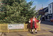 New Christmas lights to be lit on Saturday