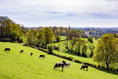 MP welcomes farm anti-pollution grants
