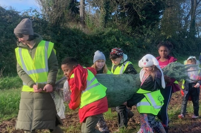 Pupils of Langford Budville Primary School carrying their Christmas tree back to class.