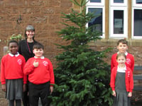 Pupils haul Christmas tree a mile back to school