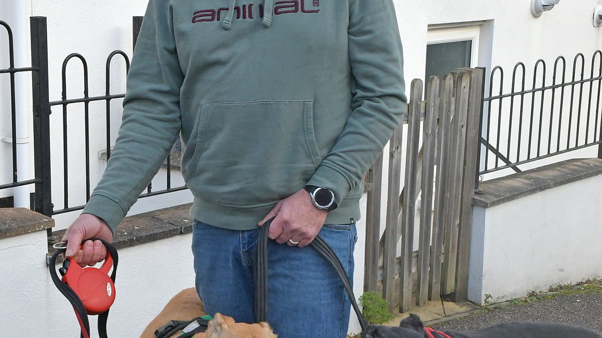 Police inquiries after loose dog on Wellington housing estate savages