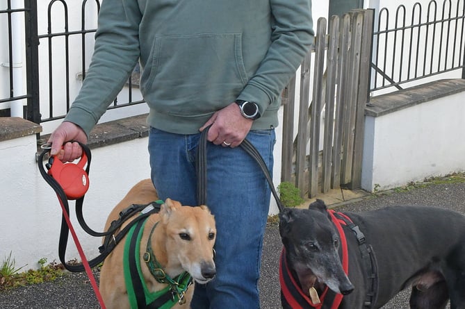 Shane Masland with his dogs which were attacked by a neighbour's dog.