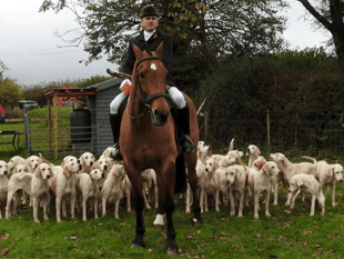 Boxing Day hunt meet planned for Wiveliscombe