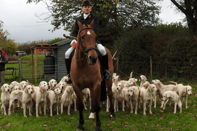 Taunton Vale Harriers will again hold a Boxing Day meet in Wiveliscombe this year.