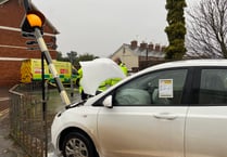 Woman injured after car collides with zebra crossing post 