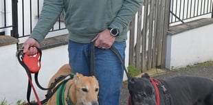 Appeal raises funds for dog attack vet bills