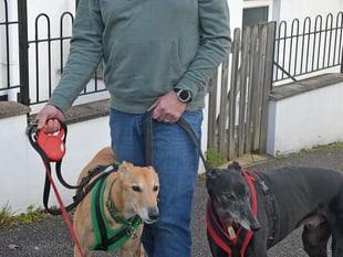 Appeal raises funds for dog attack vet bills