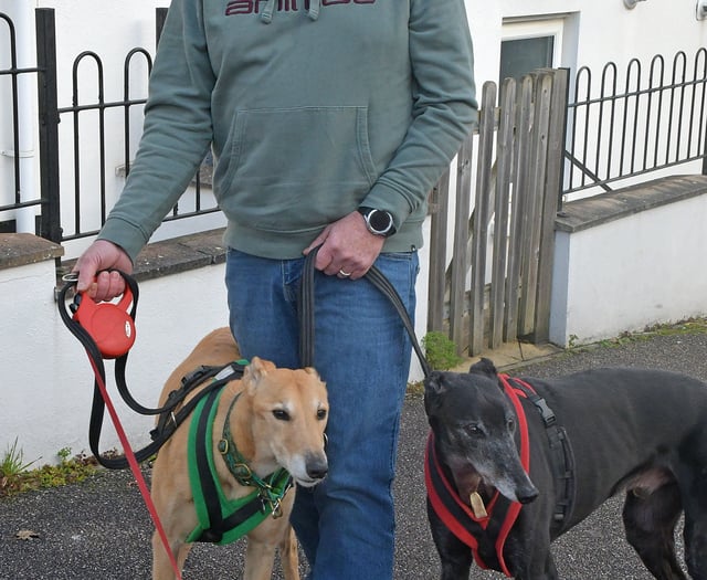 Appeal raises funds for dog attack vet bills
