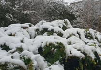 Cloudy with patchy rain: Light snow then clear tomorrow