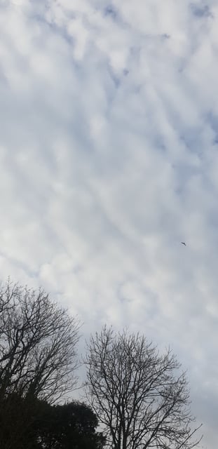 N/A
