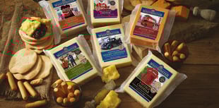 Cheese firm profits up despite challenging trading conditions