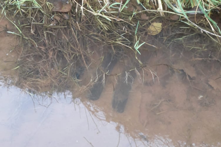 Flooding started in Westford, Wellington, on Boxing Day with drains blocked.