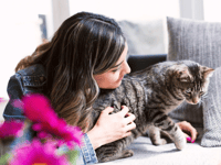 Cat fosterers needed to help people flee domestic abuse