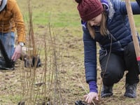 New Year volunteering resolution call