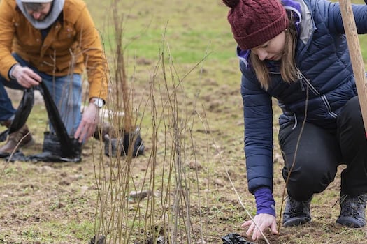The National Trust needs tree planting volunteers for Fyne Court, on the Quantock Hills.