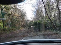 Storm Henk blows down tree closing Wellington road