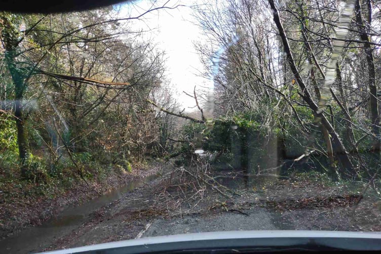 A number of roads have been blocked by fallen trees