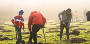 Somerset residents urged to claim 'free trees' as deadline looms