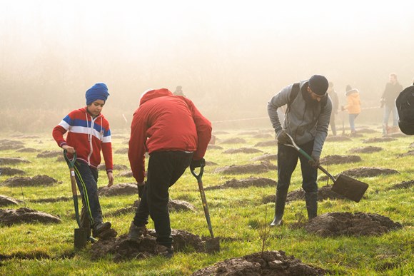 The Woodland Trust still has 300,000 trees up for grabs as part of its free trees scheme