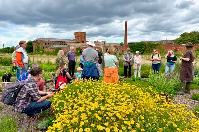 Transition Town Wellington are launching a new oral history project