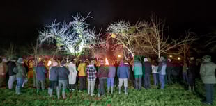 Wellington Wassail to welcome the New Year