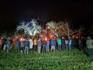 Wellington Wassail to welcome the New Year