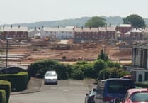 Wellington campaigners urge councils to review housing developments
