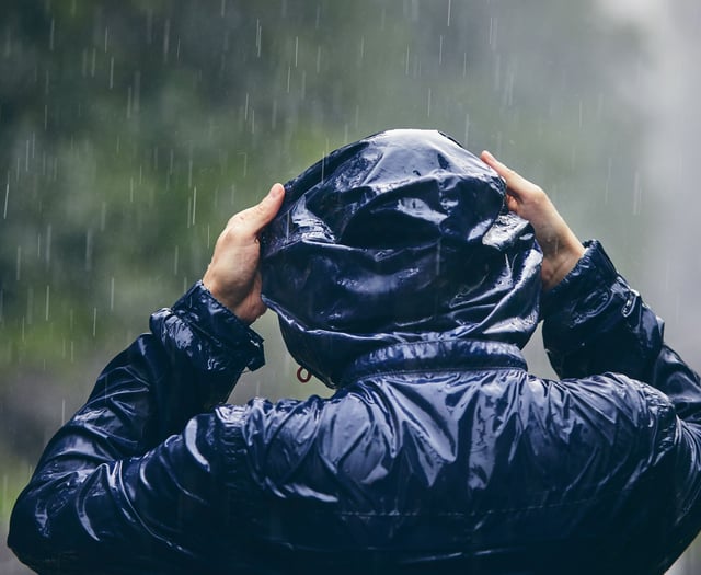 Rainy day with cool temperatures grips Wellington, May 12th