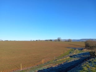 Solar farm plan approved on high quality farmland