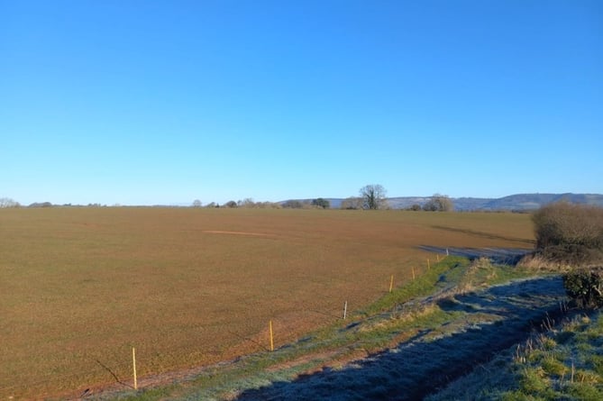 The site of a new solar farm to be built in Preston Bowyer, near Milverton.
